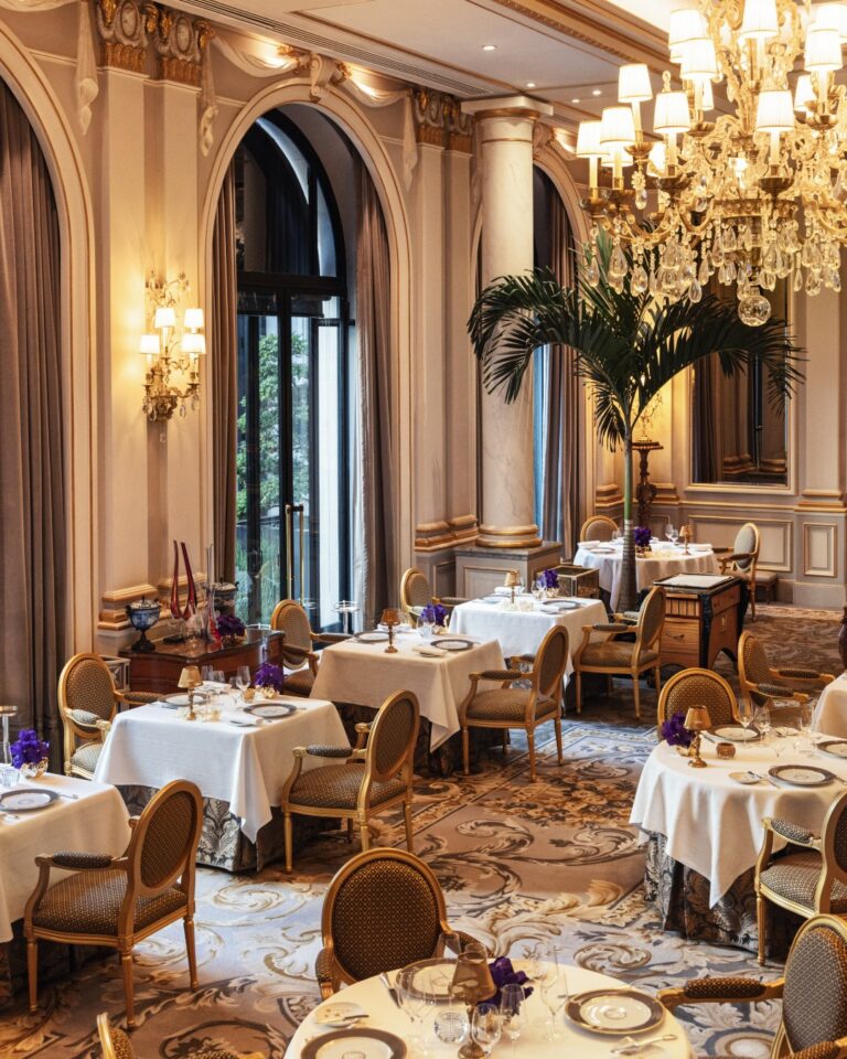 Le Cinq (4)