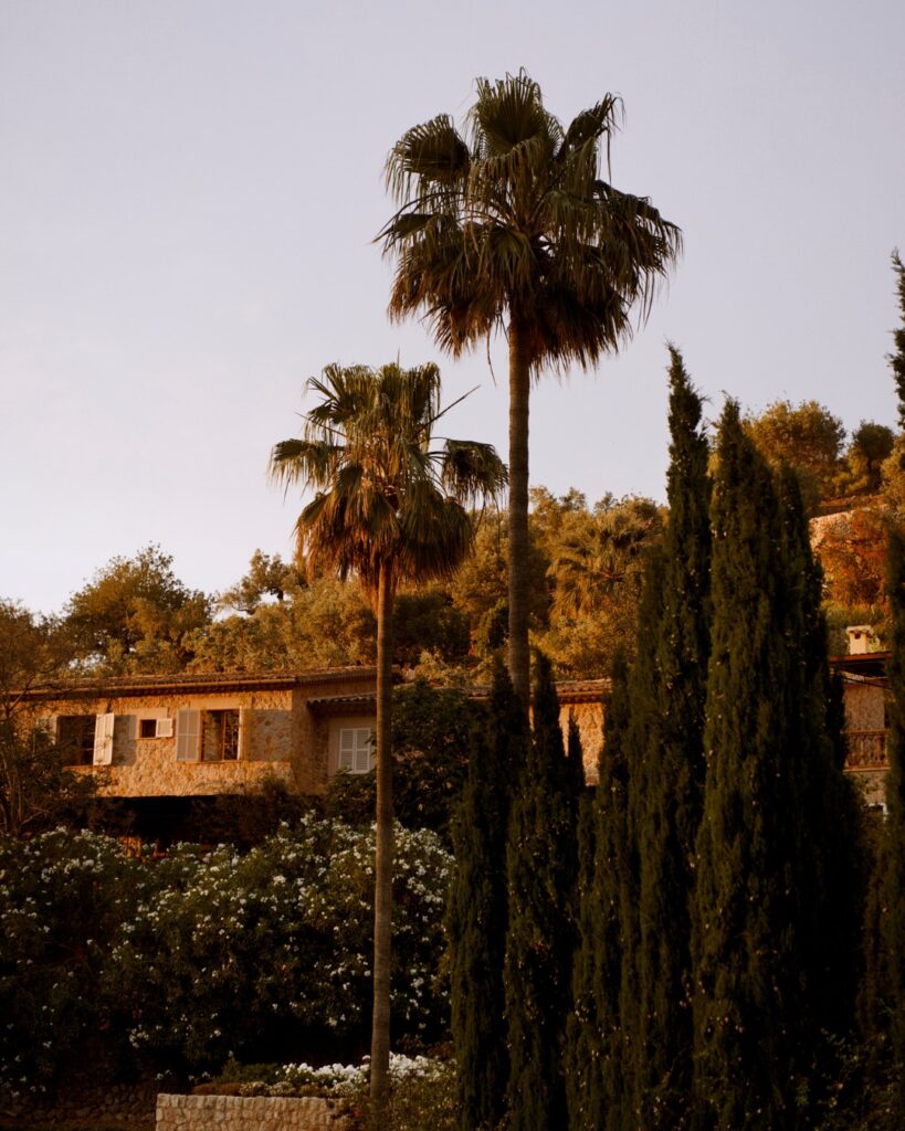 la (2)