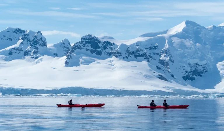 Kayaking among iocebergs and surrounded by wonderful wildlife, Paradise Bay, Antarctic Peninsula, Antarctica