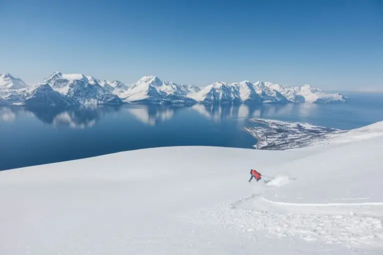 SKI FJORDS -SELAR